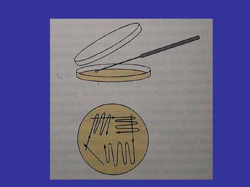 貴陽(yáng)生物技術(shù)服務(wù)公司